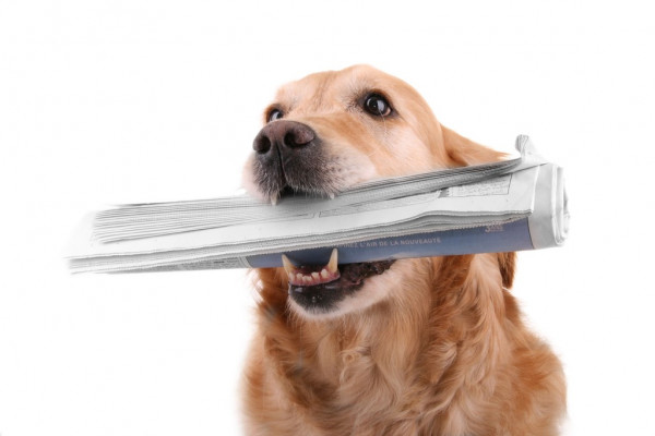 Холанн: Я счастлив, и это фантастический рекорд