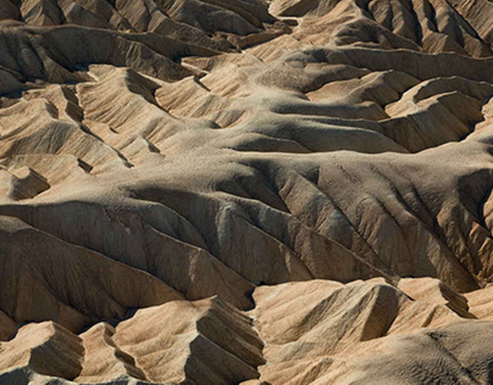 СМИ: на Фарерах рыбоводы из-за инфекции должны уничтожить 1 млн лососей