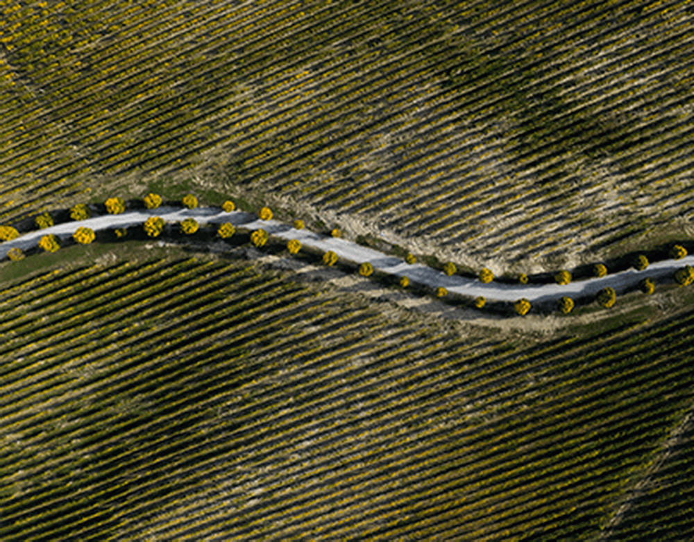 Google Play запретит монетизацию для приложений из России