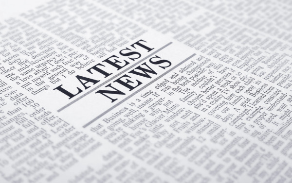 В Новокузнецке два коня сбили 7-летнюю девочку